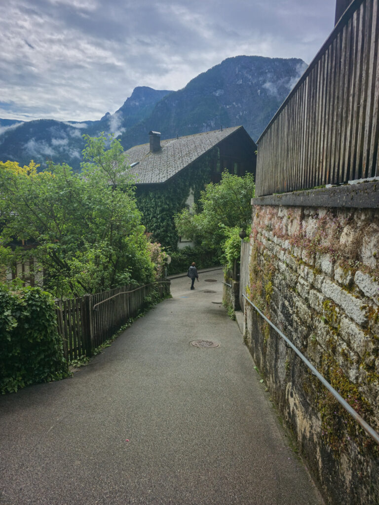 Hallstatt Gasse in the market