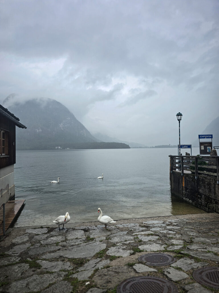 Lake shore in Hallstatt in the rain and fog